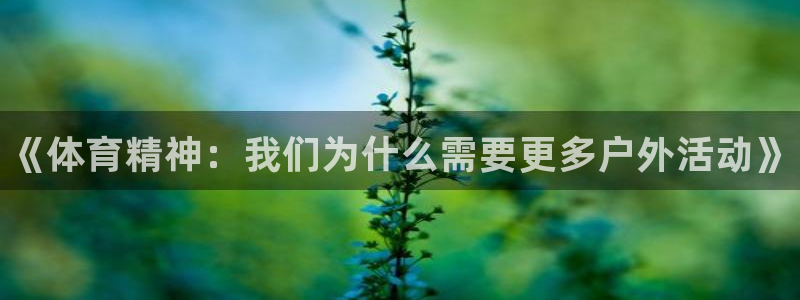 德国一竞技官方正版app集团:《体育精神:我们为什么需要更多