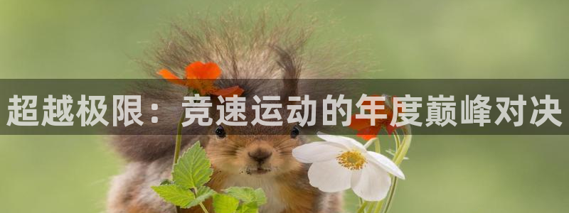 一竞技官网下载平台是正规平台吗:超越极限:竞速运动的年度巅峰